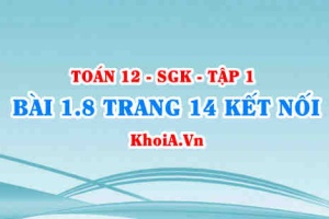 Bài 1.8 trang 14 Toán 12 tập 1 Kết nối tri thức